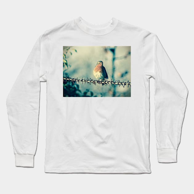 ROBIN ON THE WIRE Long Sleeve T-Shirt by dumbodancer